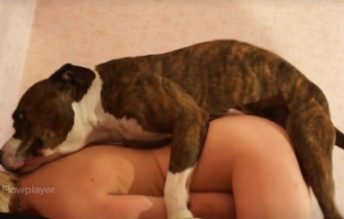 Cachorro fodendo a loira rabuda na cama dela